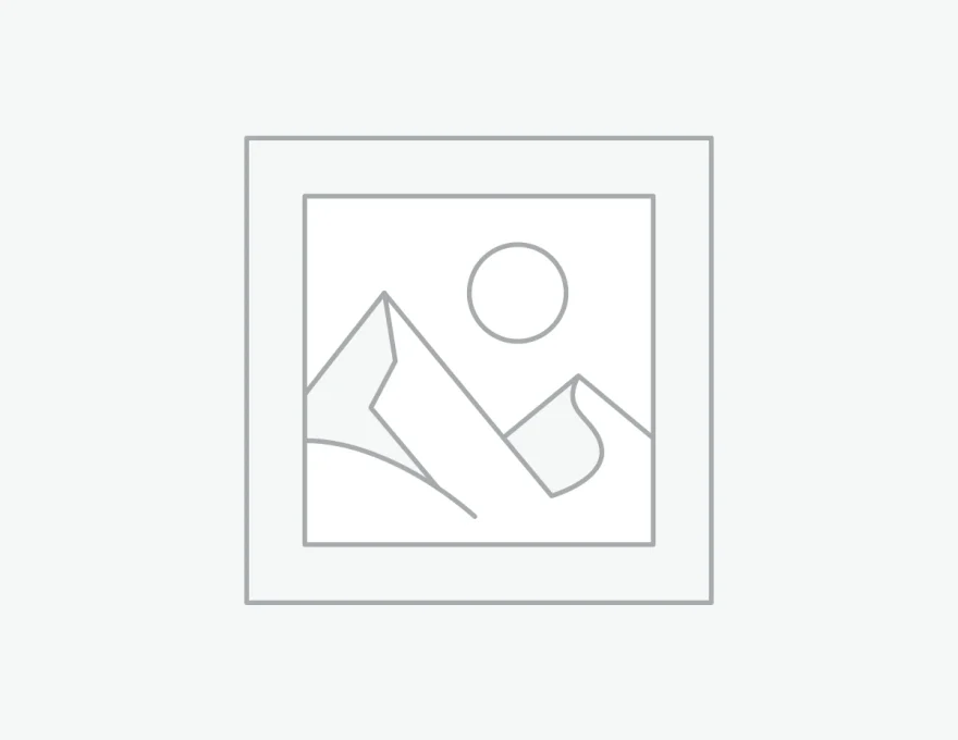 Medium Hoop Earrings